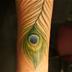 Peacock feather
